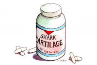 Shark-Cartilage005_3x2