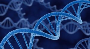 course_genetics-640x353